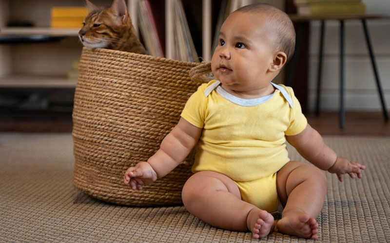 Com quantos meses o bebê senta?